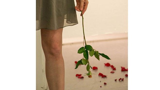 Person holds rose with petals fallen